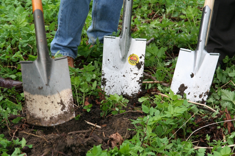 pepiniere-CAILLE-min_work-lawn-flower-tool-green-backyard-1103633-pxhere.com